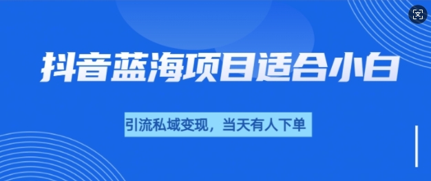 抖音蓝海小赛道私域变现项目,单价9.9单天变现100+,实操玩法分享给你